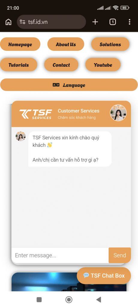 AI Chatbox (2) TSF Services